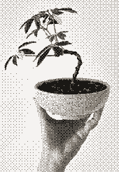 Pixel art of a hand holding a small potted plant in a ceramic bowl